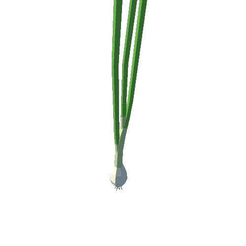 Green Onion